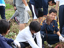 yahiko07